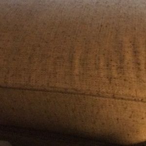 Meet your Posher, Sandi